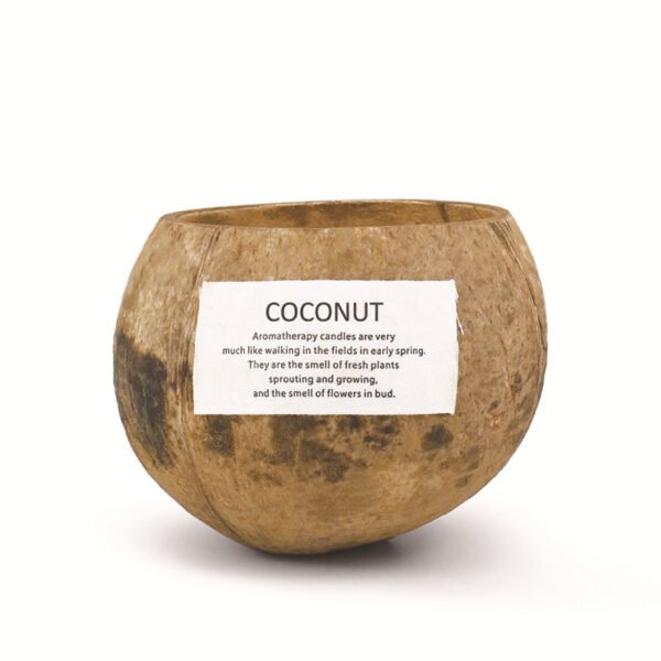 Decor Custom Luxury 250g Soy Wax Candle Coconut Shell Scented Candle