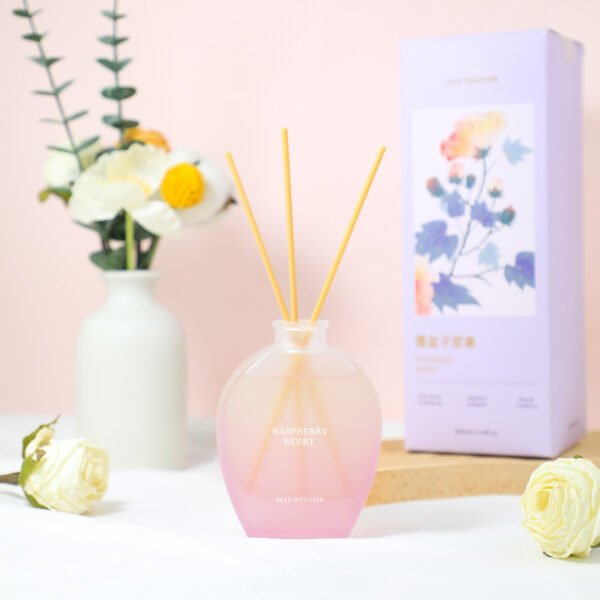 Macaron Color Glass Bottles Home Perfume Fragrance 100ml Reed Diffuser
