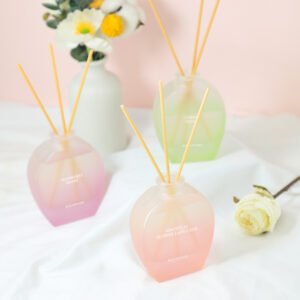 Macaron Color Glass Bottles Home Perfume Fragrance 100ml Reed Diffuser