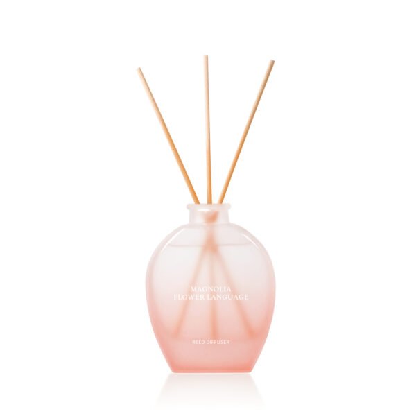 Macaron Color Glass Bottles Home Perfume Fragrance 100ml Reed Diffuser