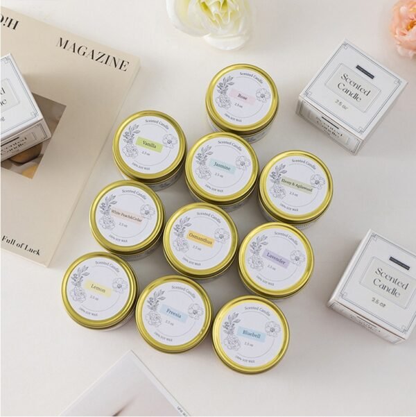 hreecy 70g soy wax Tin scented candle (1)