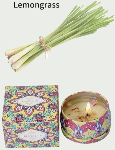 hreecy scented candle scent list (1)